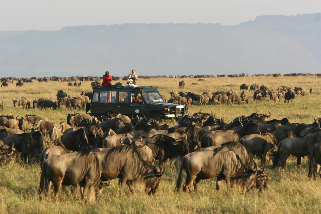 Kenya safaris