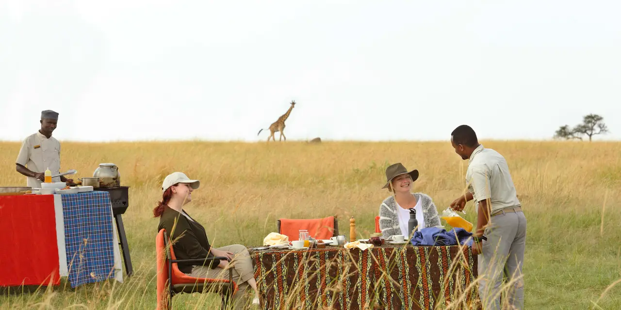 Tanzania safaris