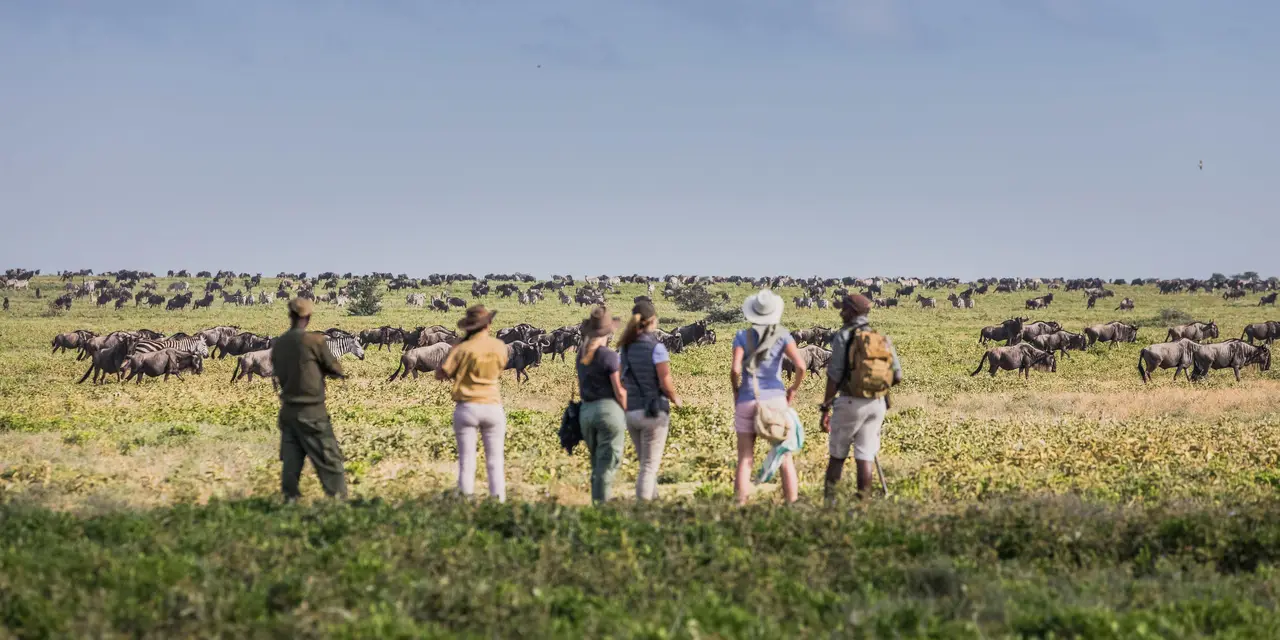 Tanzania safaris