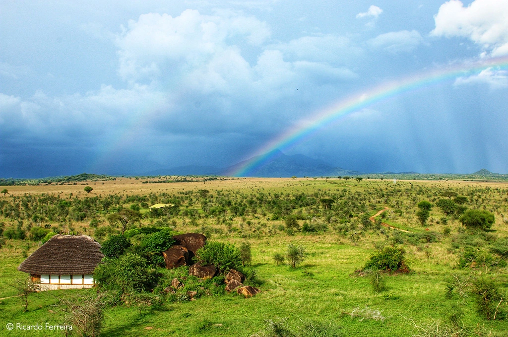 National Parks of Uganda