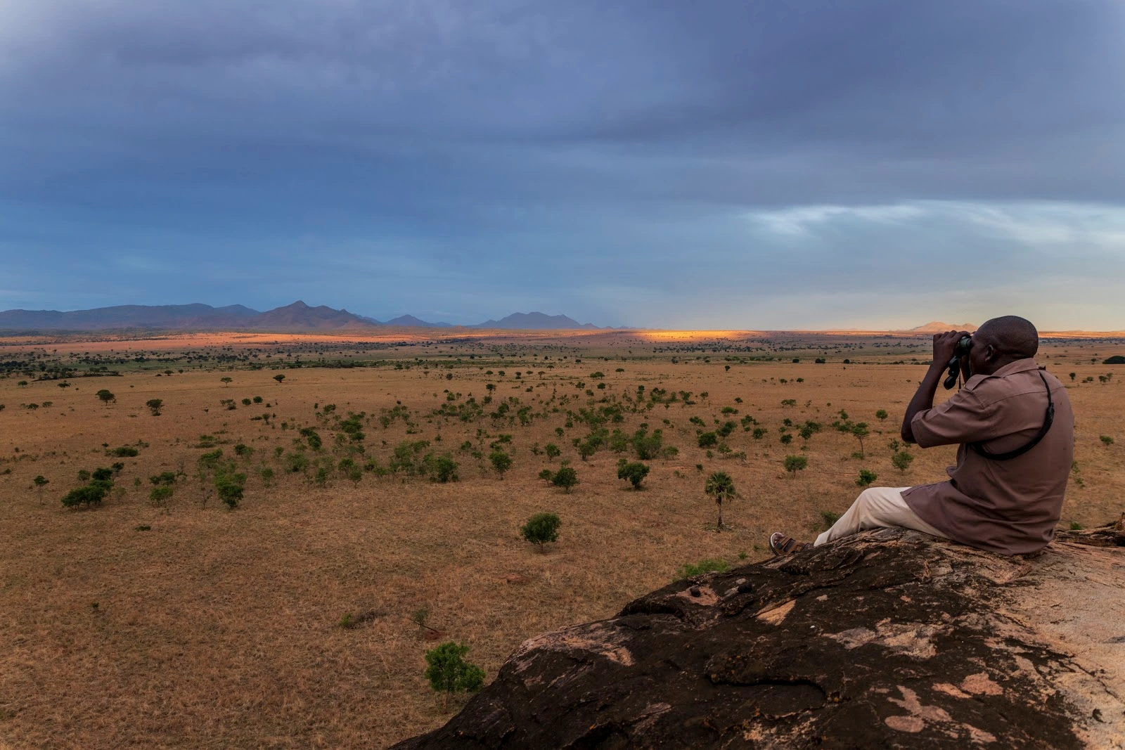 Uganda Safaris