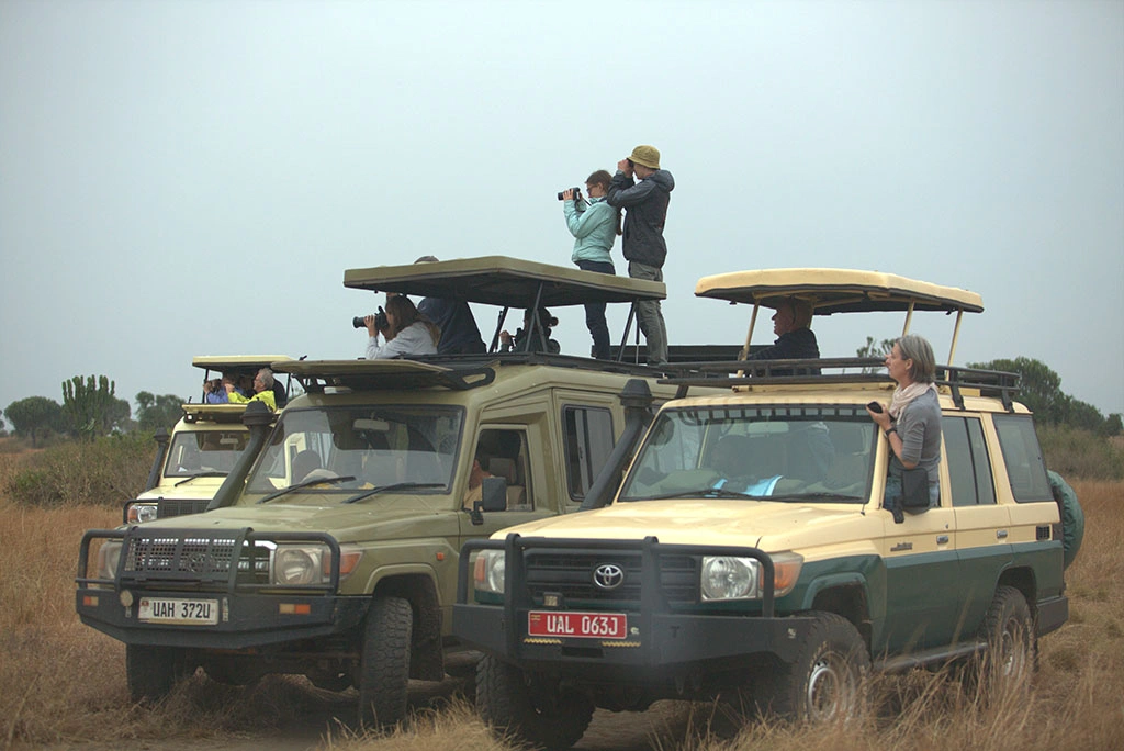 Uganda Safaris