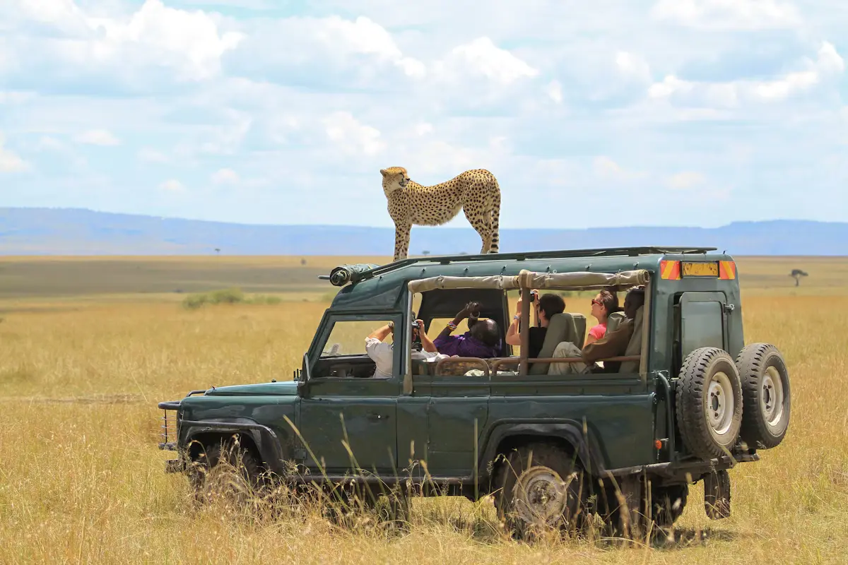 3 Day Masai Mara Safari (2)