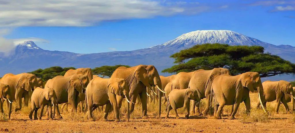 9 Days Amboseli and Mombasa Beach Safari