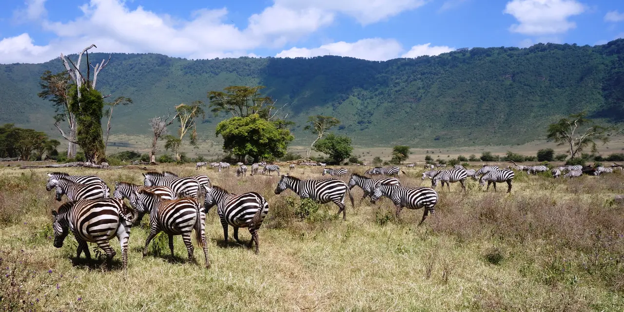 7 Day Amazing Tanzania Northern Circuit Safari