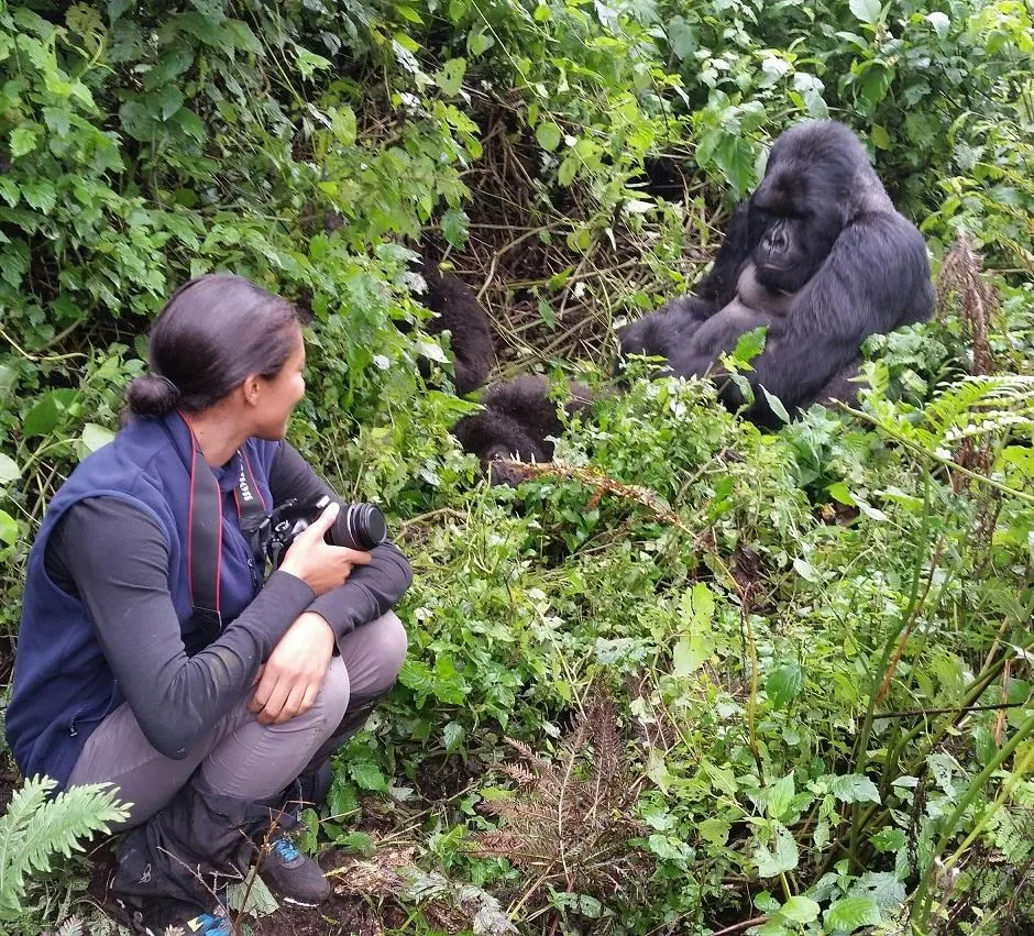 How Difficult Is Gorilla Trekking