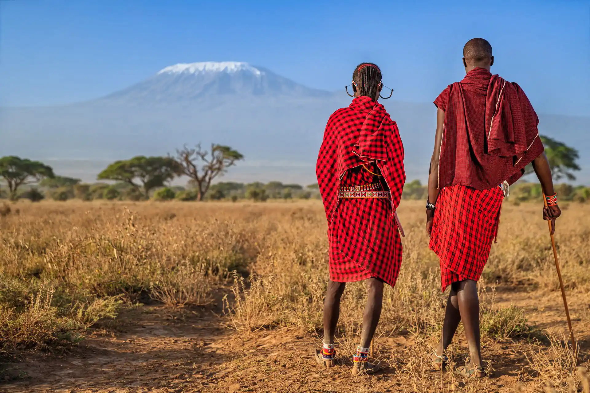KENYA SAFARIS AND TOURS