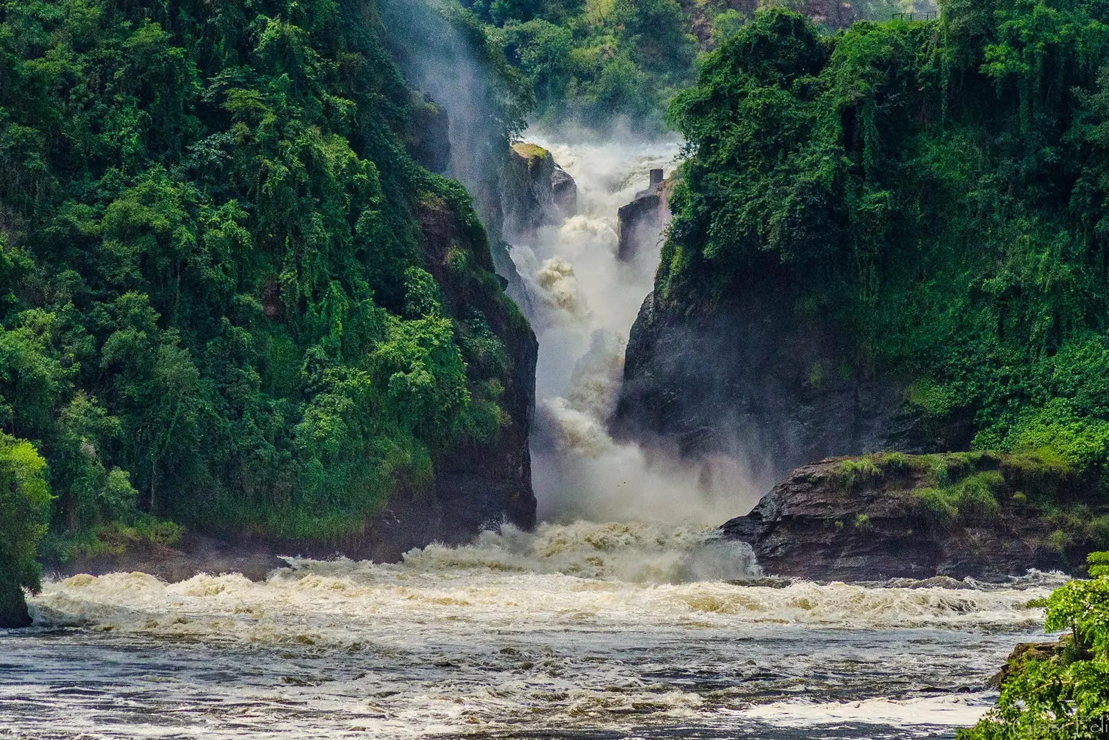 3 Days Murchison Falls Tour