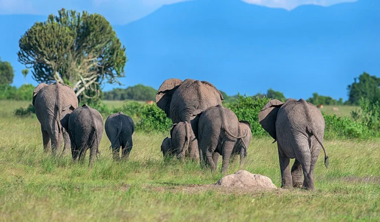 3 Day Trip to beautiful Queen