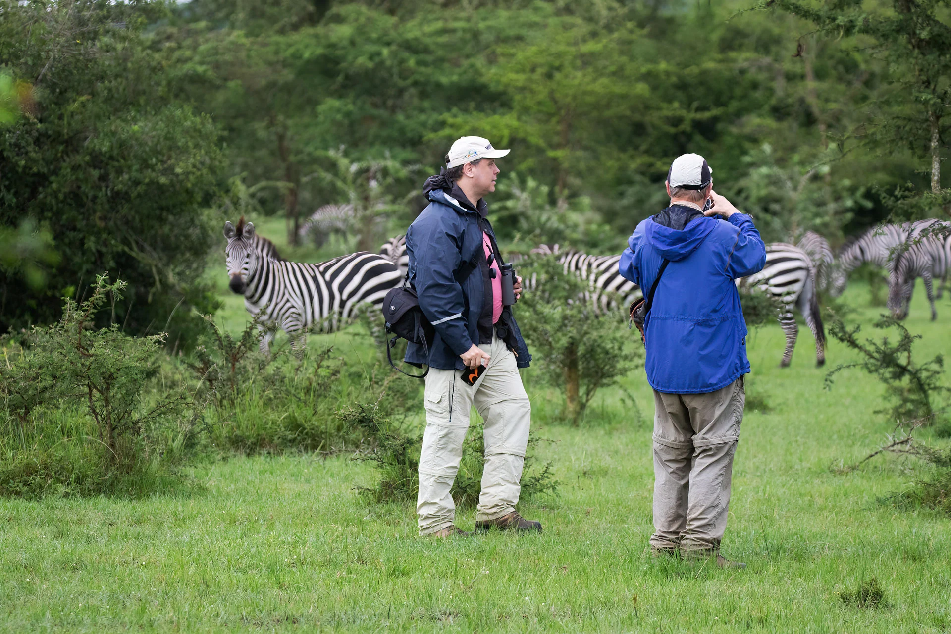 Greenway Nature Tours