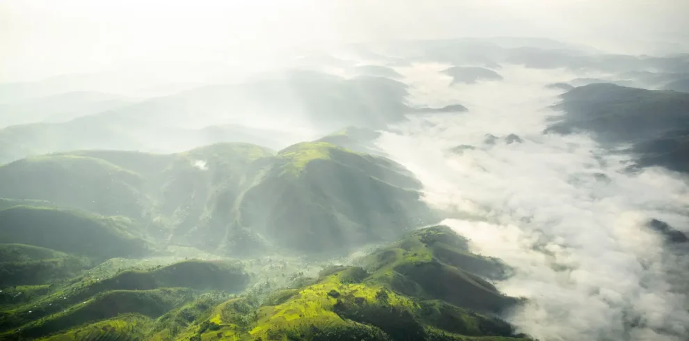 Bwindi Impenetrable Forest