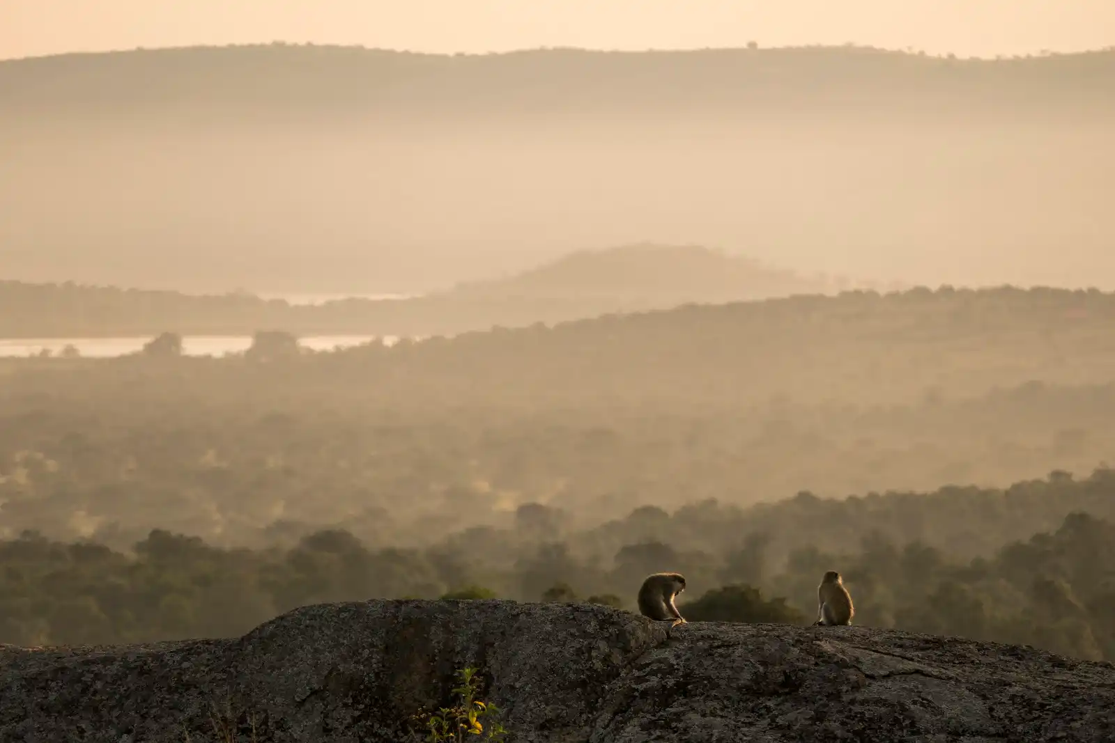 Lake Mburo NP