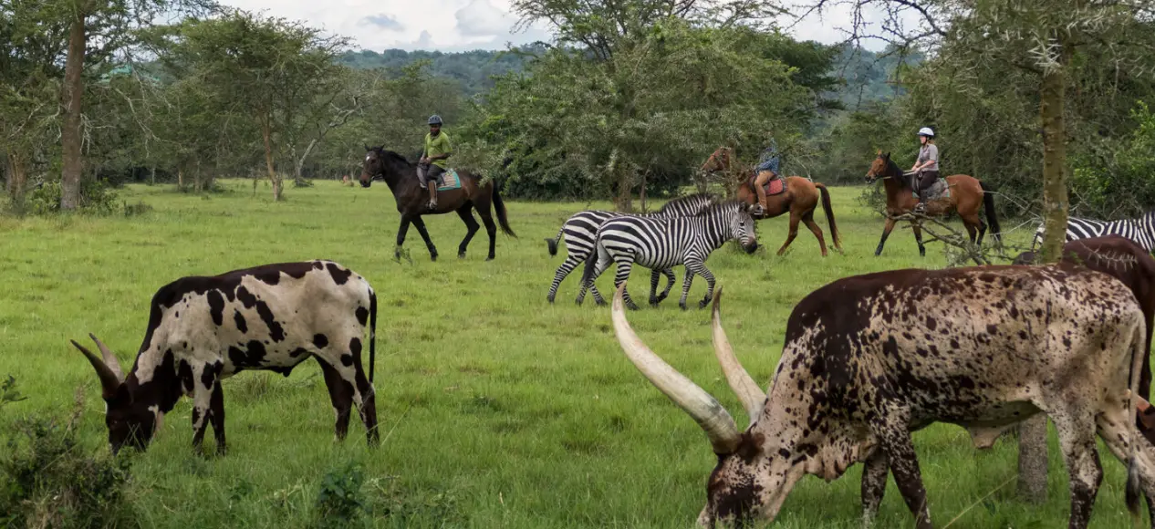 Lake Mburo National Park