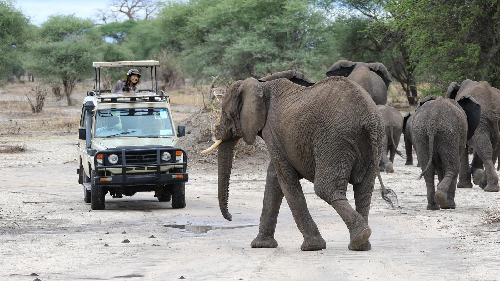 Kenya safaris