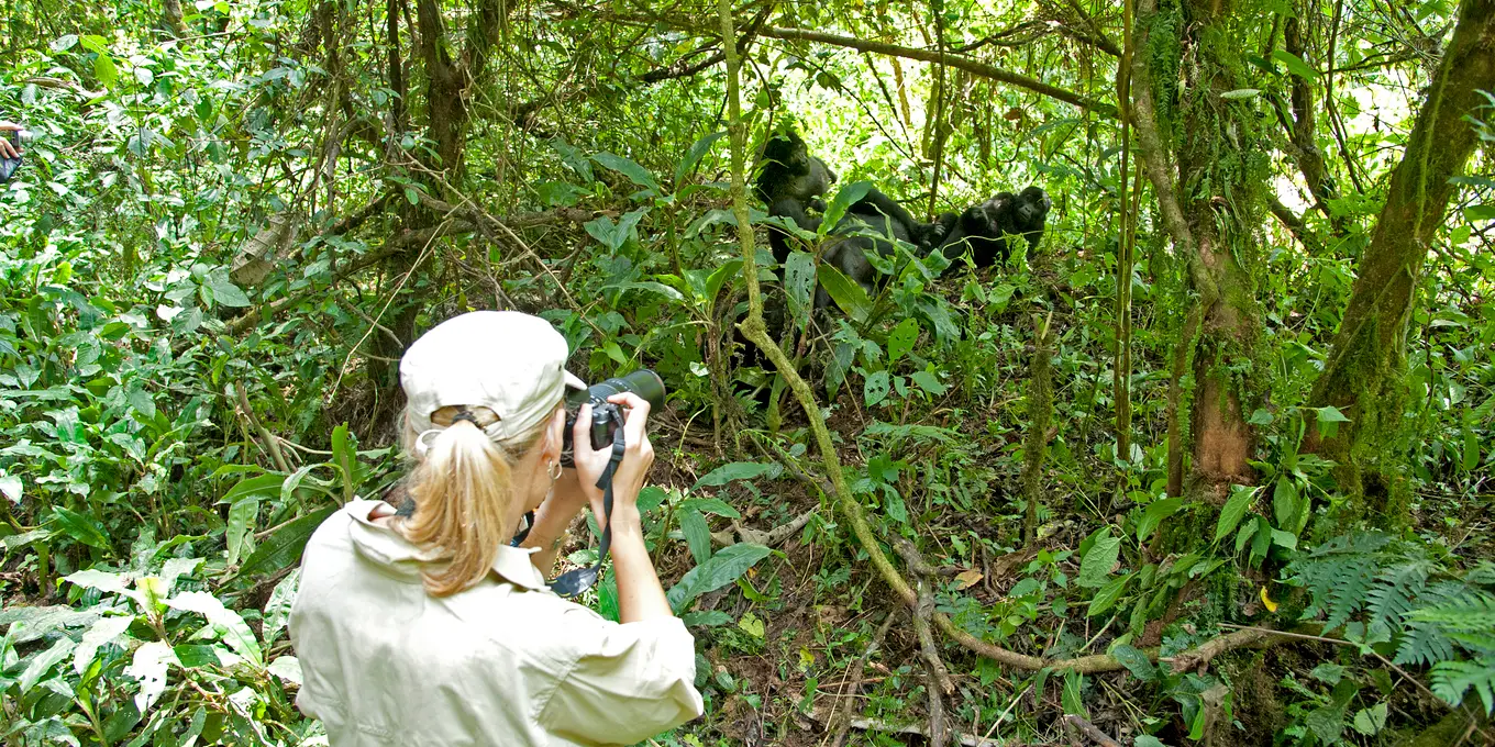 Uganda gorilla Permit Price