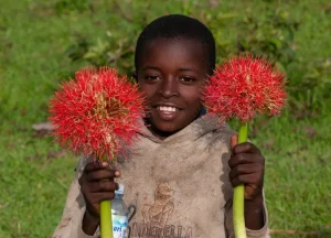 Best Uganda safaris