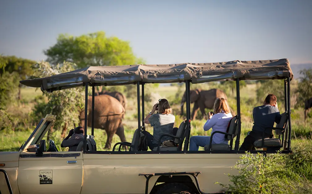 Game Drive In Kidepo Valley National Park