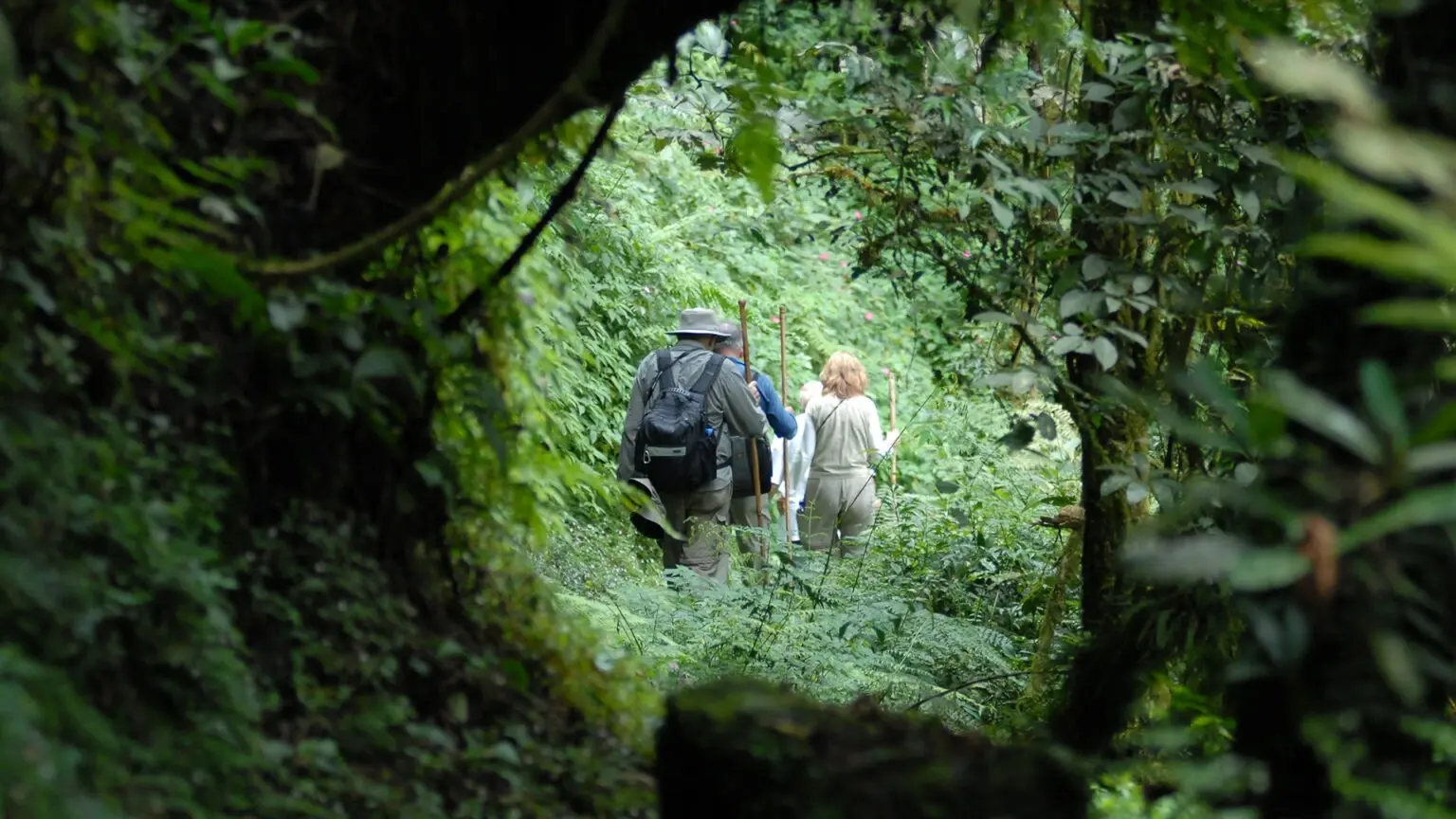 Gorilla Trekking Rwanda Volcanoes National Park