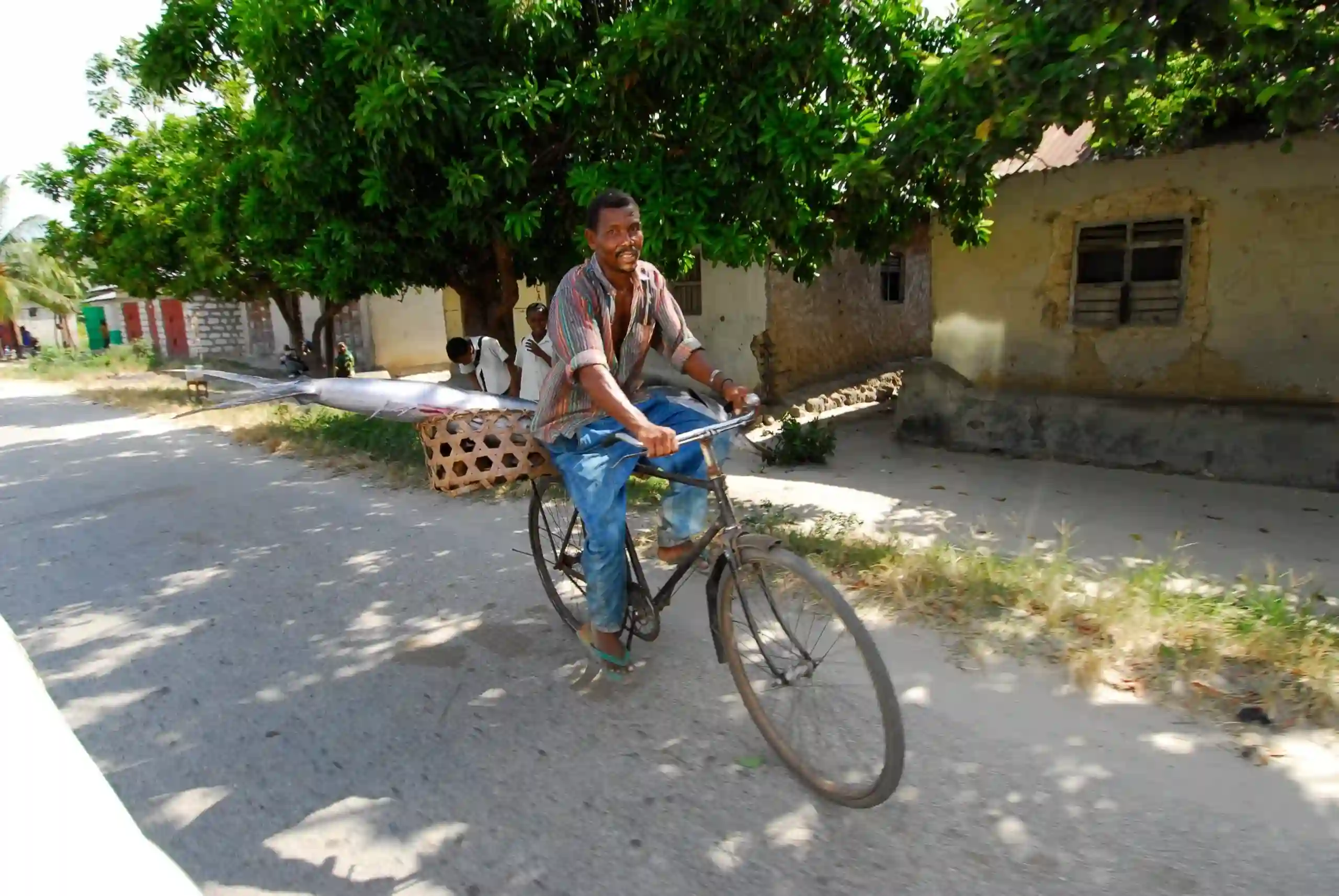 Pemba Island