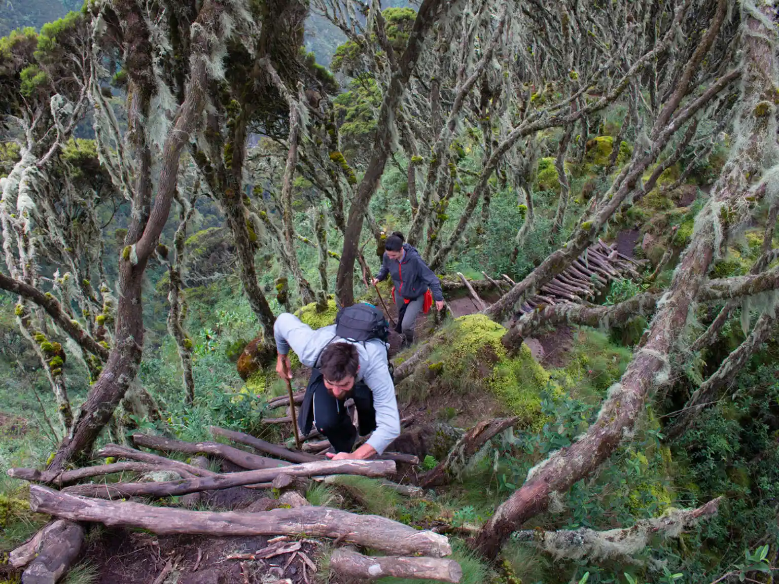 Volcanoe Hiking in Mgahinga Gorilla National Park