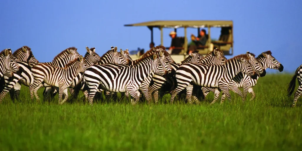 14-Day Luxury Kenya & Tanzania Safari