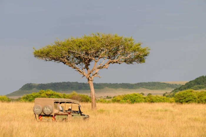 7-Day Classic Kenya & Uganda Gorillas