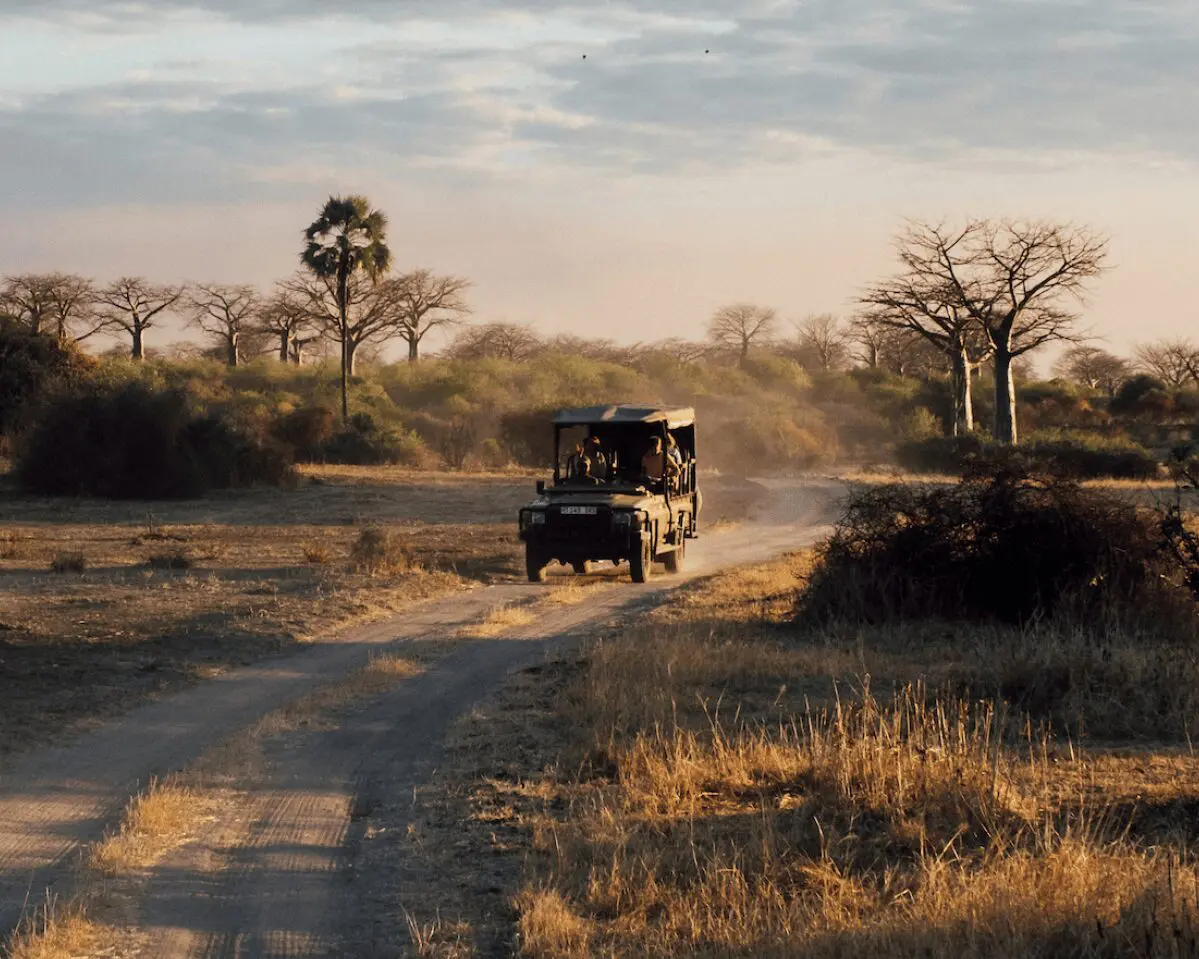 All-Asilia_Safari-Vehicle_959-x-1199.jpg