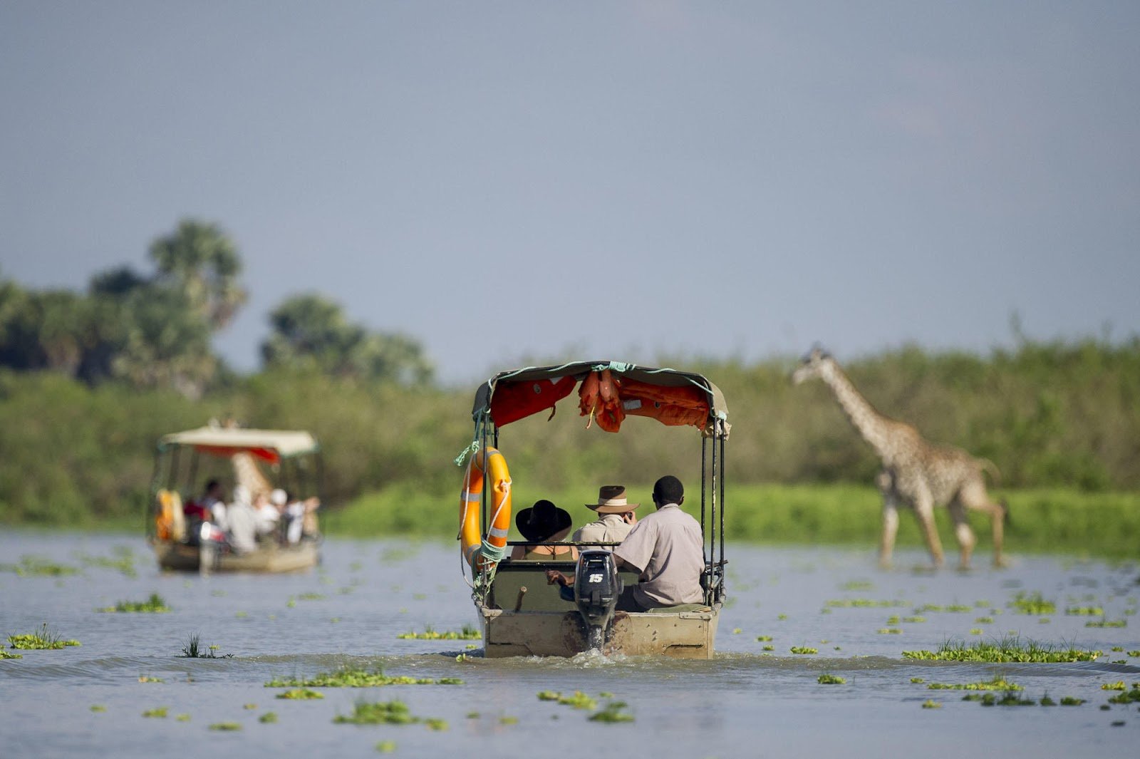 Boat Safari on River Rufiji In Nyerere National Park of Tanzania