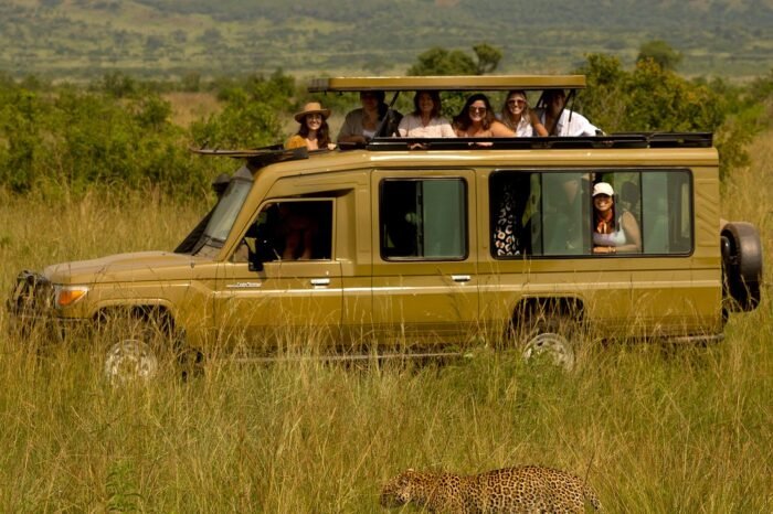 6-Day Gorillas, Chimps & Wildlife