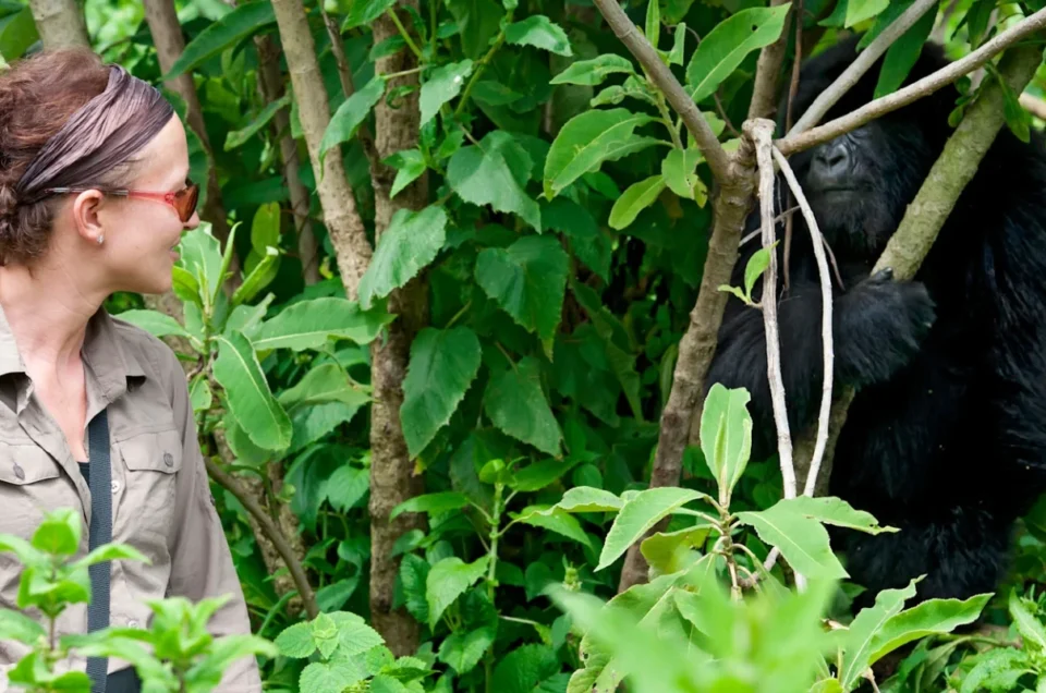 Hair-Tie-Gorilla-Trekking-Packing-List-1536x800