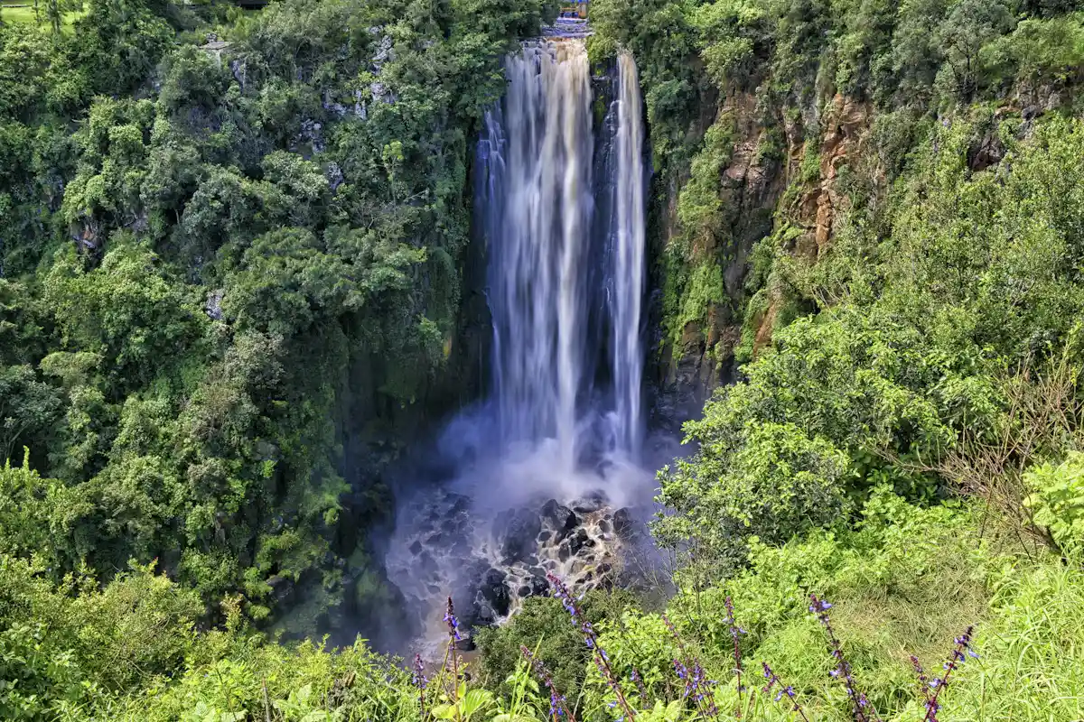 Mount Kenya National Park
