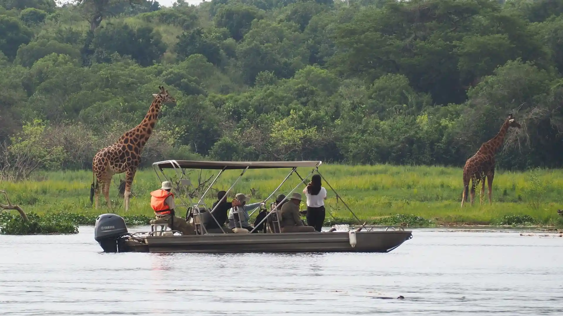 Boat cruise in Murchison Falls National Park