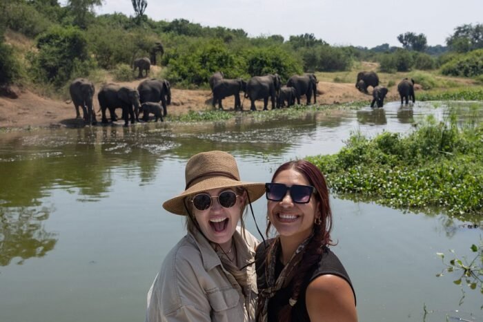 7-Day Gorillas, Chimps & Wildlife