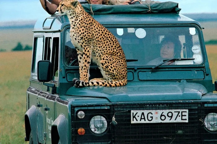 18 Days Family Trip To Uganda and Kenya