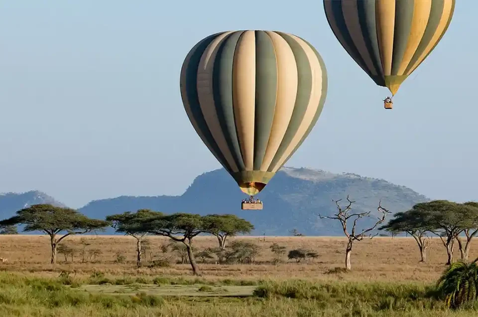 Serengeti, best places to visit in Tanzania