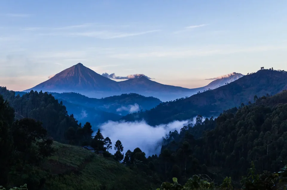 How difficult is gorilla trekking?