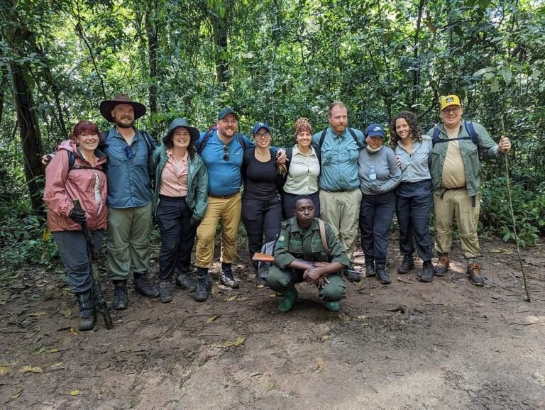 How To Do Gorilla Trekking on A Budget? Learn smart tips on choosing Uganda, low-season travel, short trips, and budget lodging to see gorillas affordably.