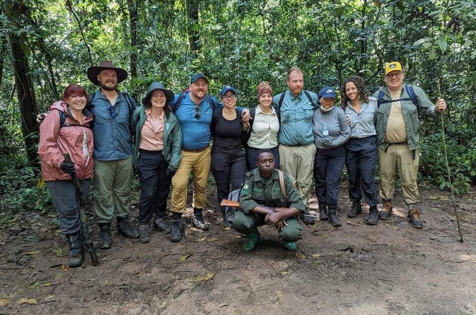 How To Do Gorilla Trekking on A Budget? Learn smart tips on choosing Uganda, low-season travel, short trips, and budget lodging to see gorillas affordably.