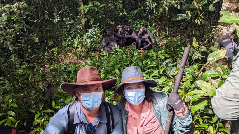 Where to Go on a Safari in February