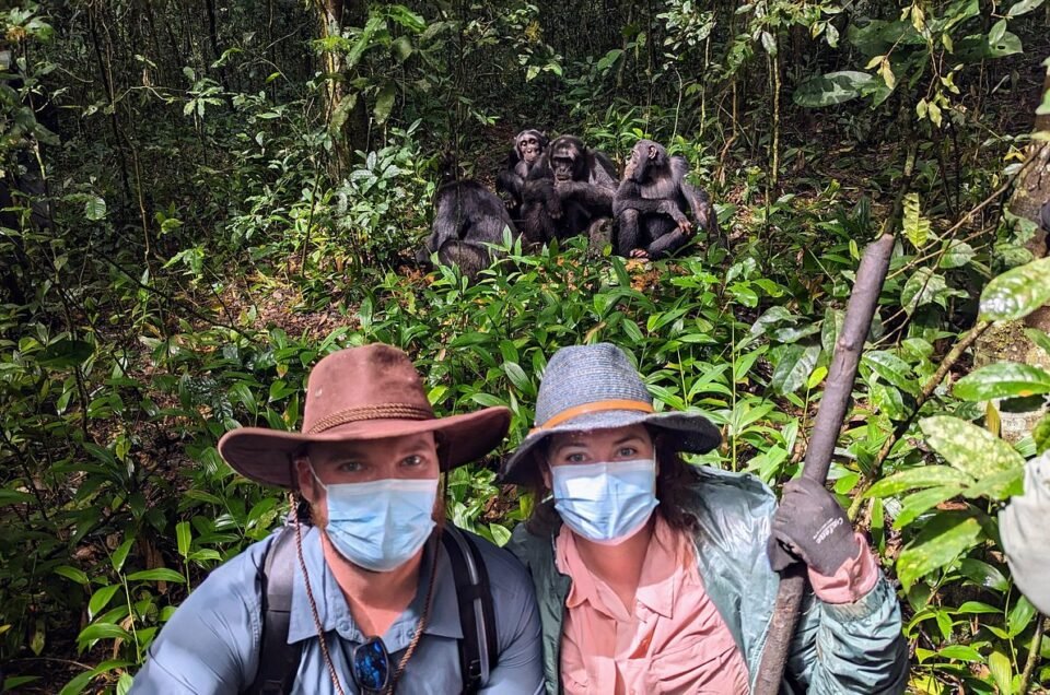 Where to Go on a Safari in February