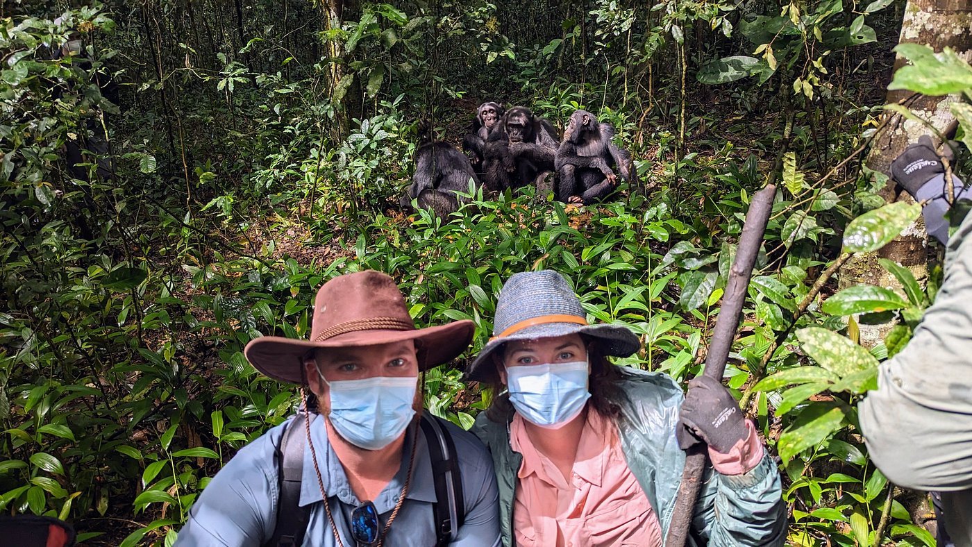 Where to Go on a Safari in February