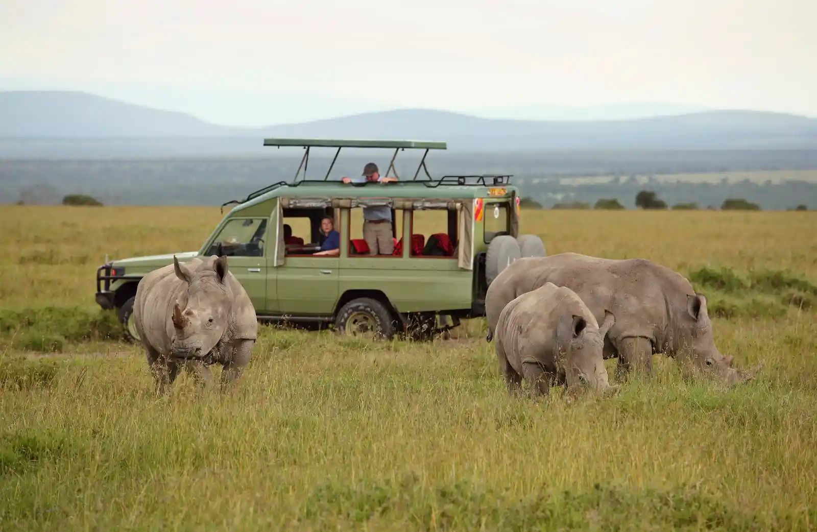 Asilia Ol Pejeta Bush Camp - Game Drive - Family of Rhinos