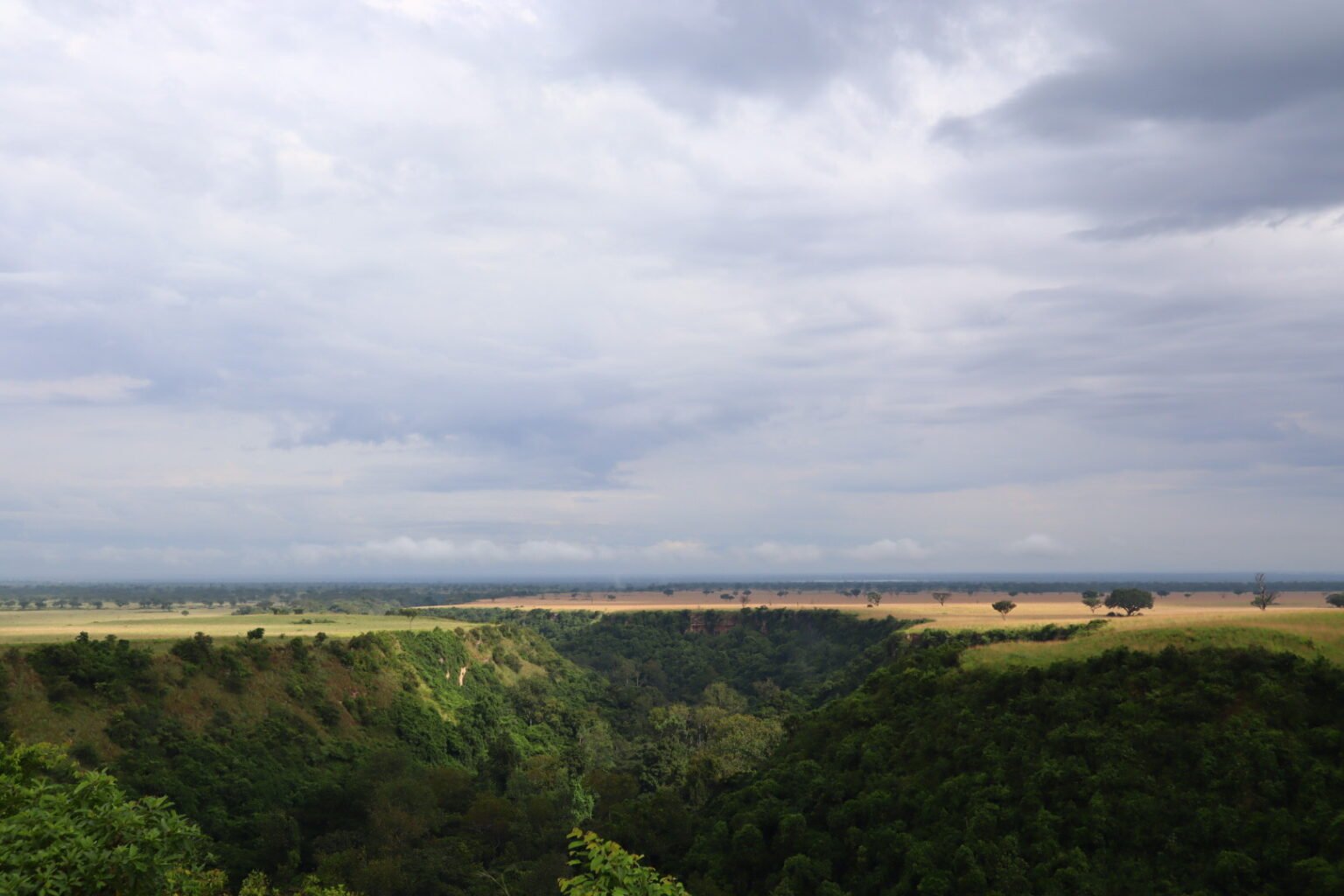 Kyambura Gorge in Queen Elizabeth National Park