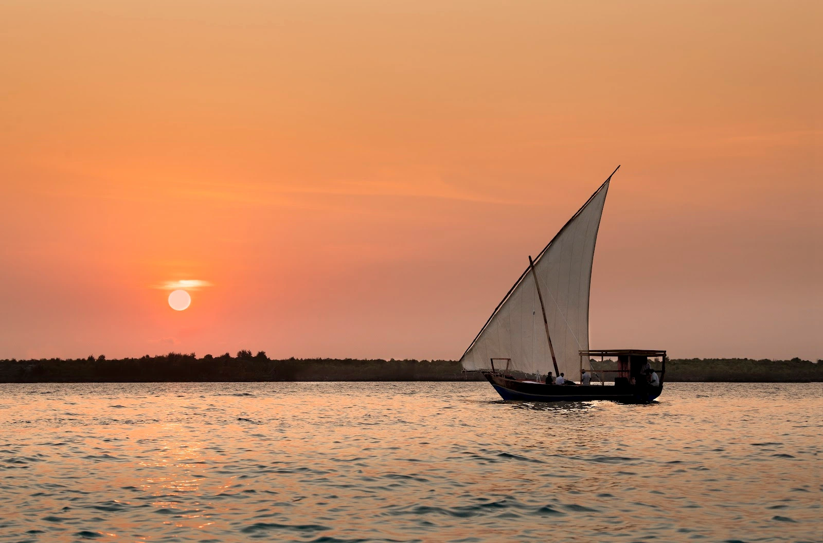 Zanzibar-Mnemba-Island-dhow (5).webp