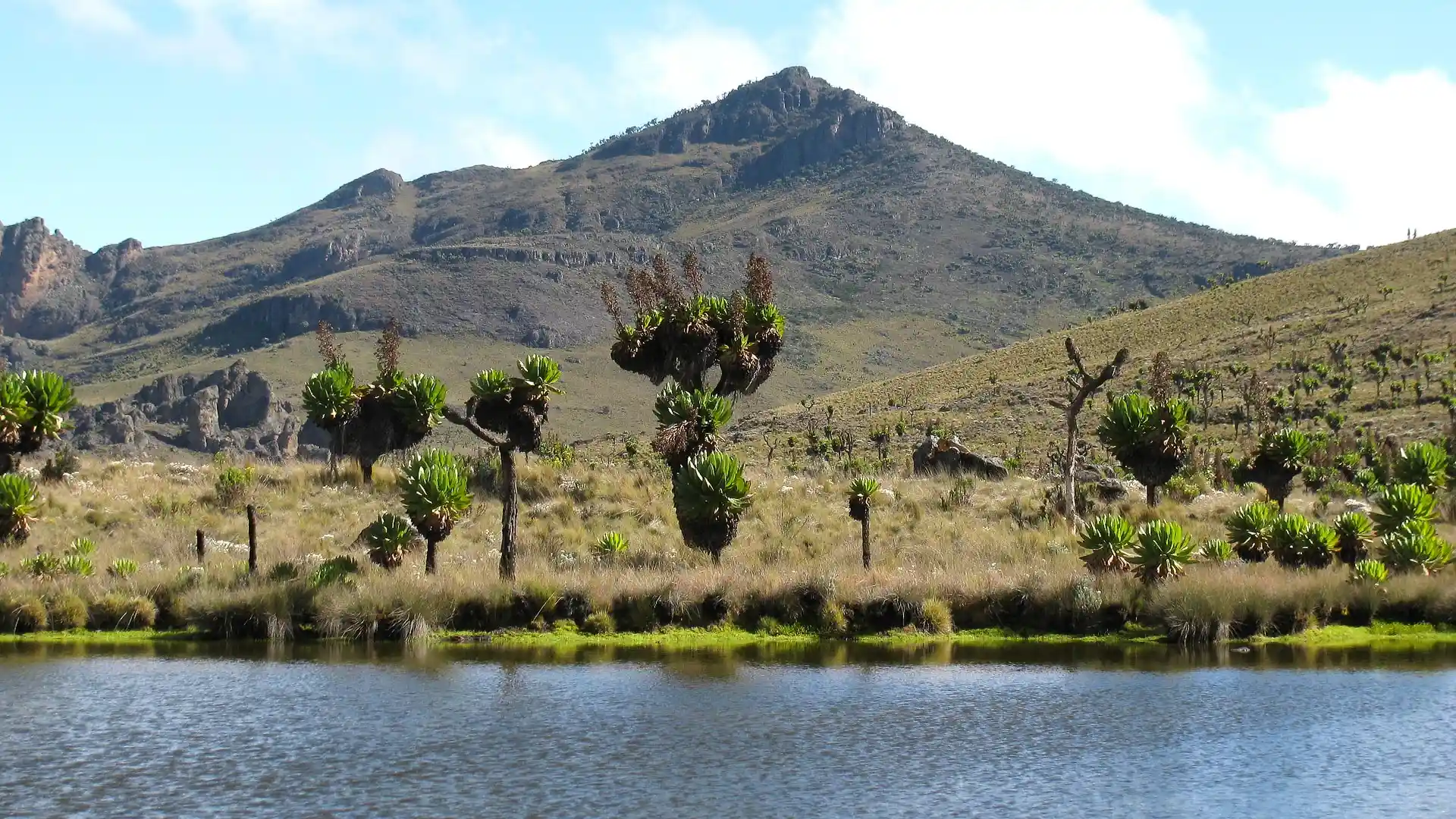 02UG16-IM0102-mount-elgon-west-safari (1).webp