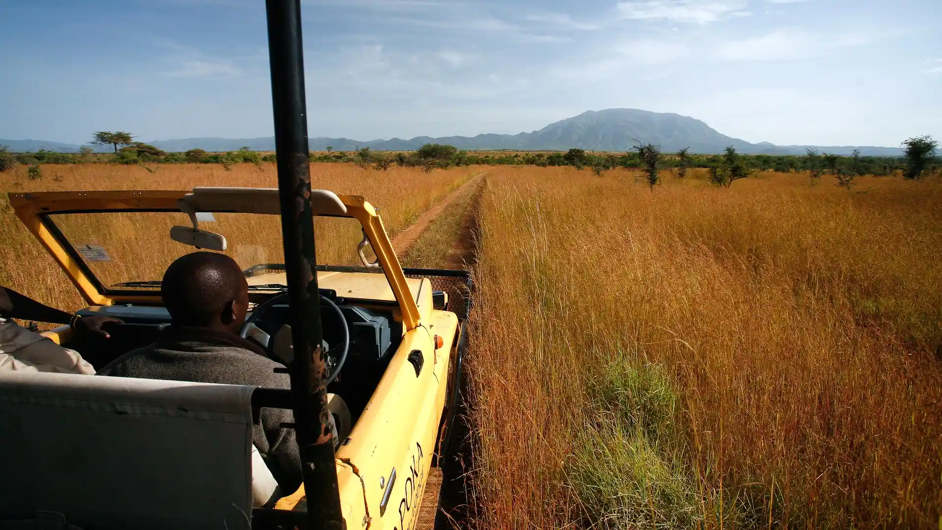 Game drive in Kidepo Valley National Park