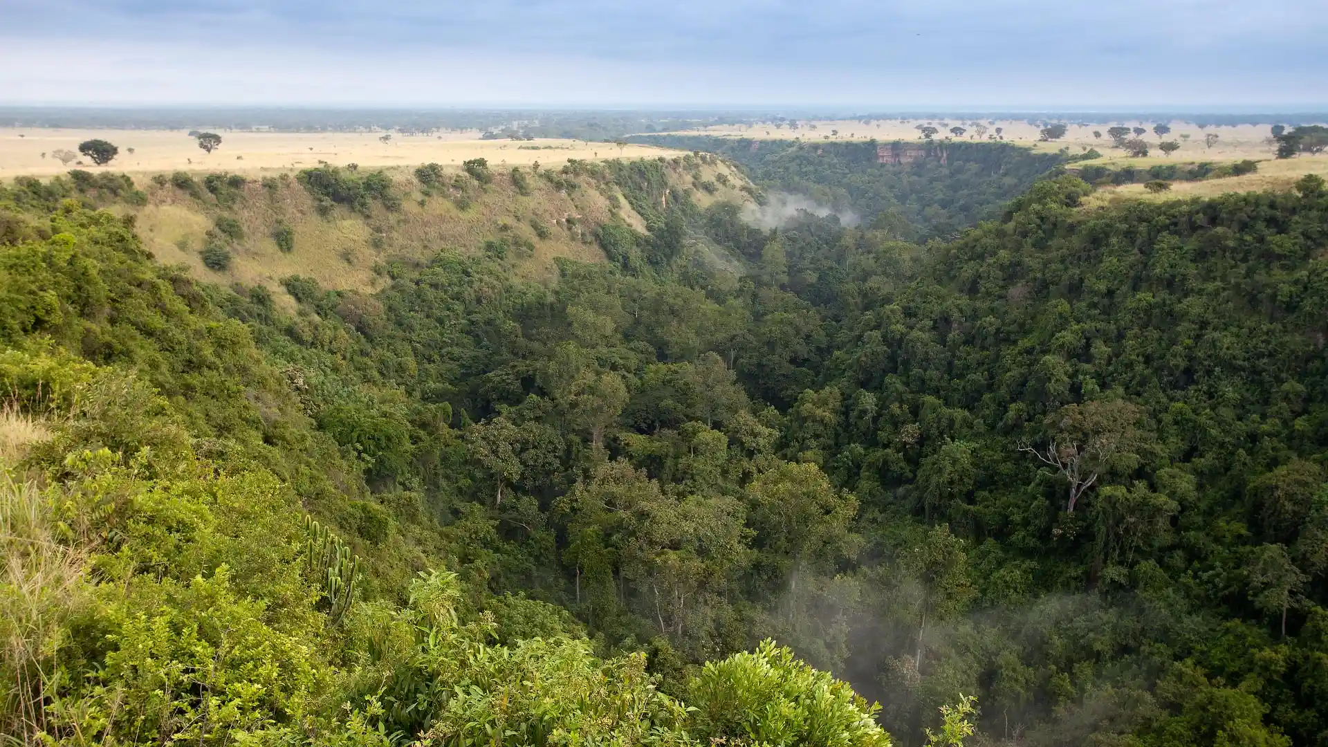 Kyambura Gorge in Queen Elizabeth National Park.webp