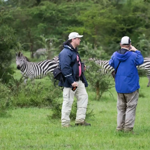 National Parks of Uganda