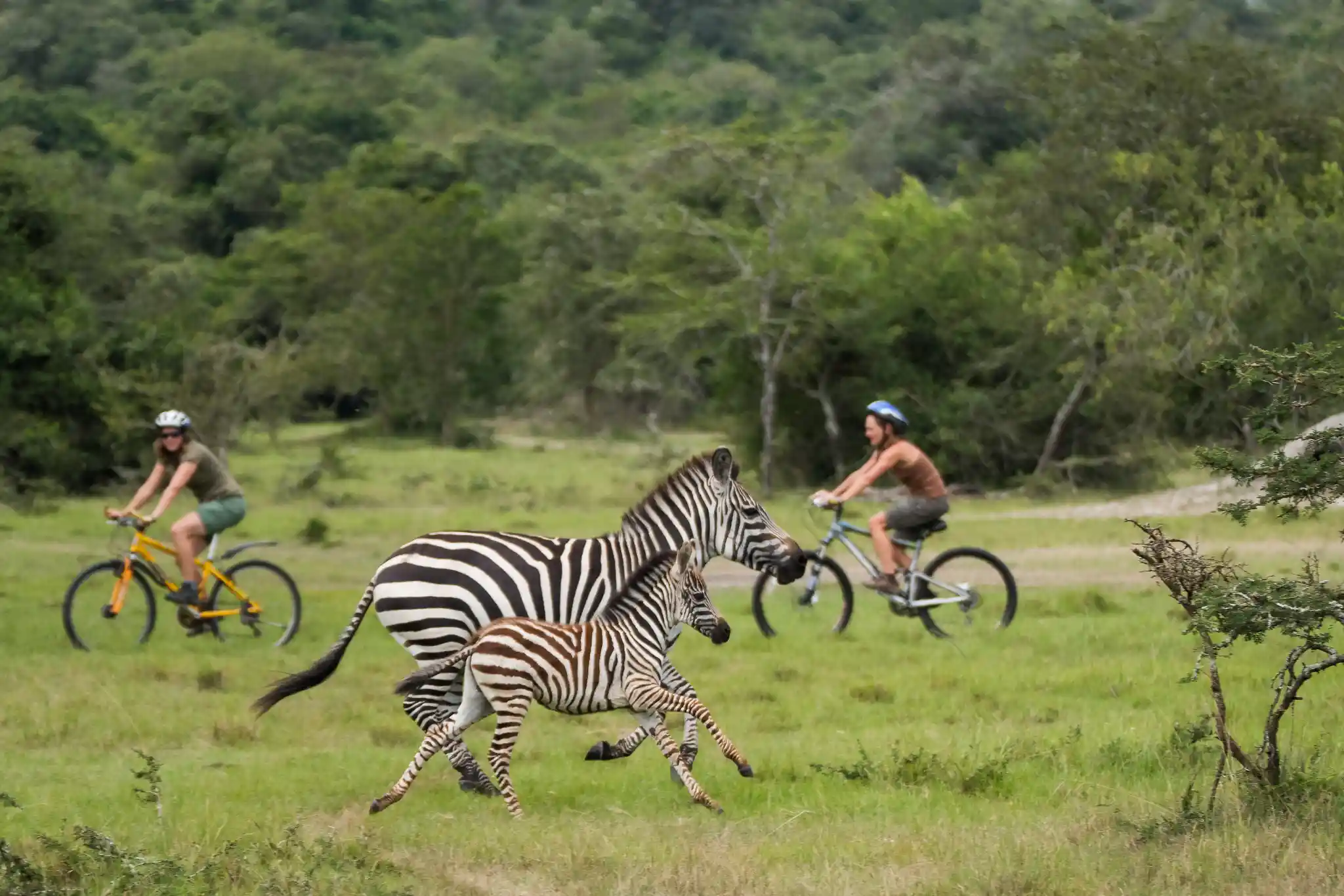 Mountain biking in Lake Mburo National Park