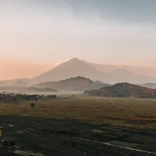 Best Time To Visit Uganda